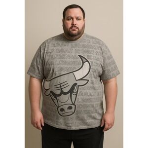 Legendary Status Chicago‎ Bulls GOAT Iconic 23 Mens Gray Graphic T-Shirt 2XL